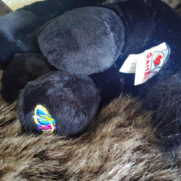 GANZ WEBKINZ RETIRED VINTAGE ADOPT A PET BLACK STALLION - Picture 6 of 7